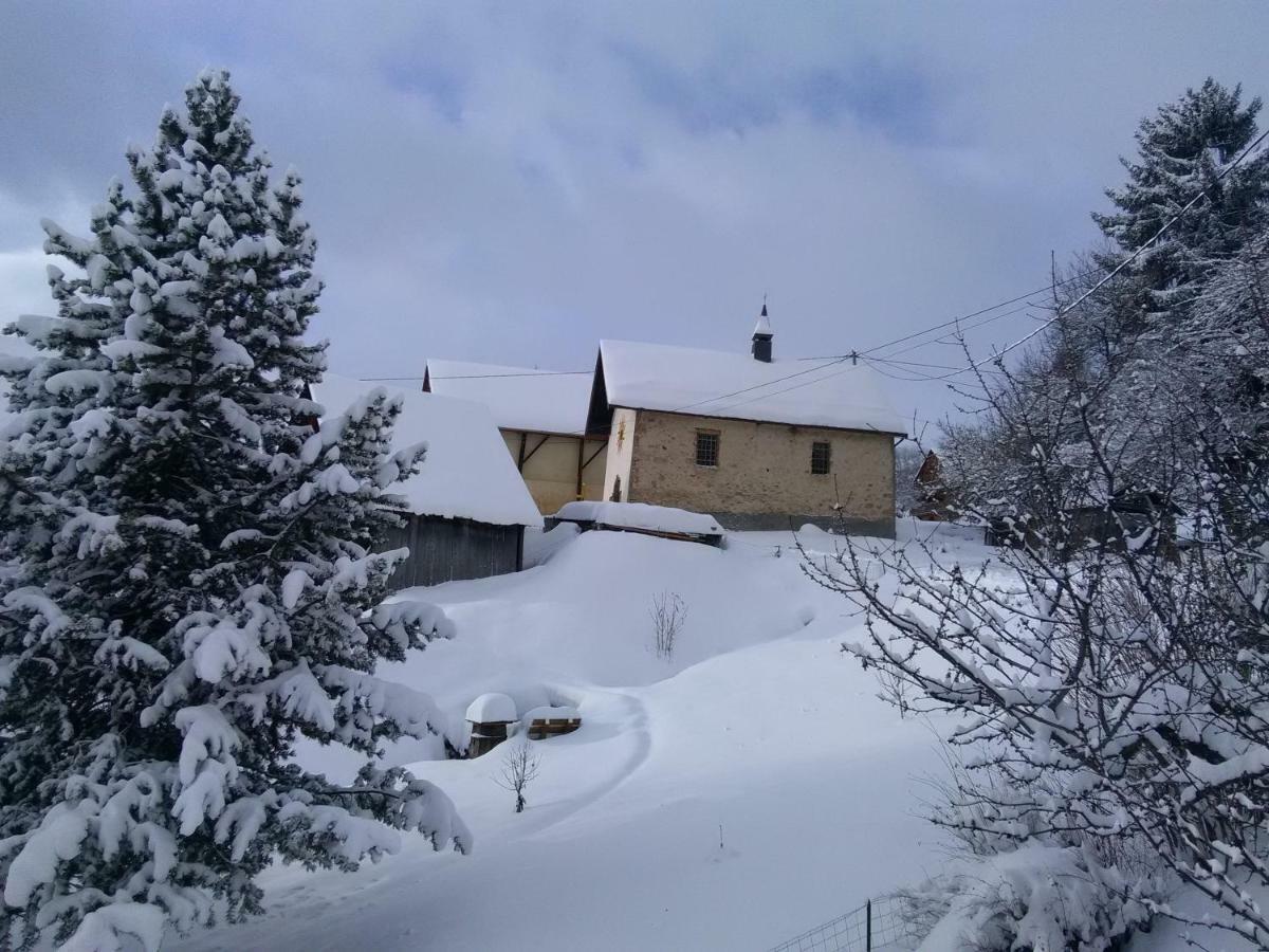 Bel Appartement Au Rez De Chaussee D'Un Chalet Jarrier Exterior photo